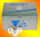 VICTAS VP40+ Training (5 Dtz.)